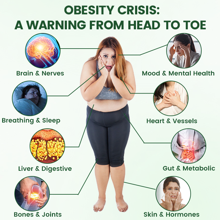 𝑶𝒇𝒇𝒊𝒄𝒊𝒂𝒍 𝑺𝒕𝒐𝒓𝒆  | ☀️☀️𝑻𝒊𝒎𝒊𝒍𝒌® 𝑴𝒐𝒓𝒊𝒏𝒈𝒂 · 𝑩𝒆𝒓𝒃𝒆𝒓𝒊𝒏𝒆 + 𝑵𝑨𝑫+ 10-𝒊𝒏-1 𝑵𝒂𝒏𝒐 𝑴𝒊𝒄𝒓𝒐𝒏𝒆𝒆𝒅𝒍𝒆 𝑷𝒂𝒕𝒄𝒉(𝐉𝐮𝐬𝐭 𝐨𝐧𝐜𝐞 𝐚 𝐝𝐚𝐲, 𝐯𝐢𝐬𝐢𝐛𝐥𝐞 𝐜𝐡𝐚𝐧𝐠𝐞𝐬 𝐢𝐧 𝟕 𝐝𝐚𝐲𝐬）✨