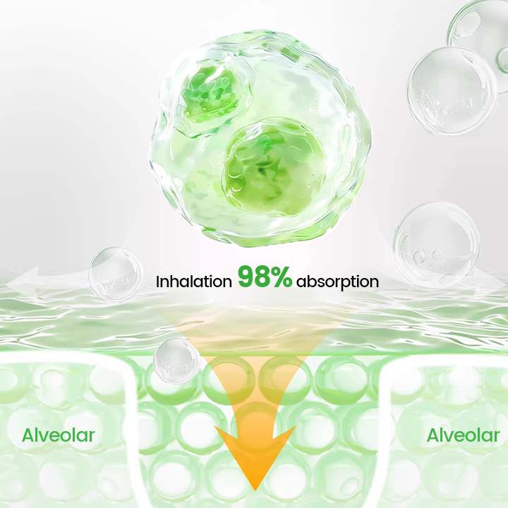 Timilk® Pulmovia Quercetin Lung Detox Inhaler✨ (A)