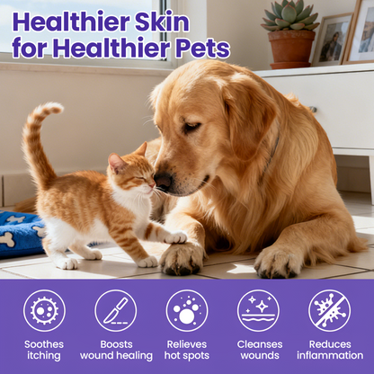 Timilk® WaxLift Pet Ear Rinse✨